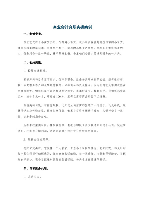 商业会计真账实操案例