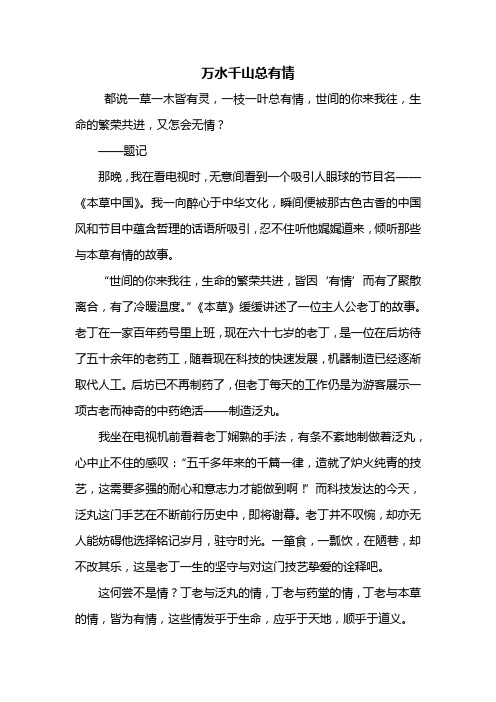 初三作文：万水千山总有情作文800字