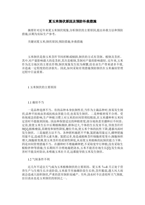 夏玉米倒伏原因及预防补救措施