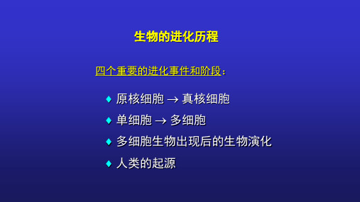 生物进化的历程