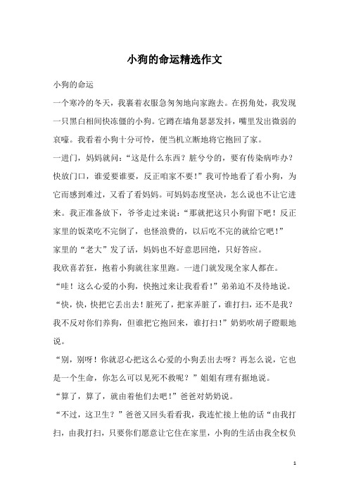 小狗的命运精选作文