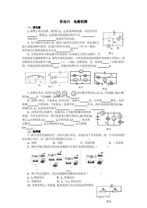 物理寒假自主作业六电路初探