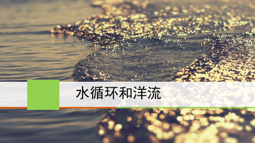 高三一轮复习：水循环与洋流