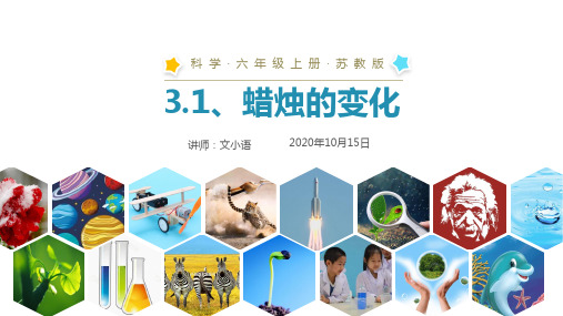 苏教版科学六年级上册课件3.1蜡烛的变化PPT-附教案