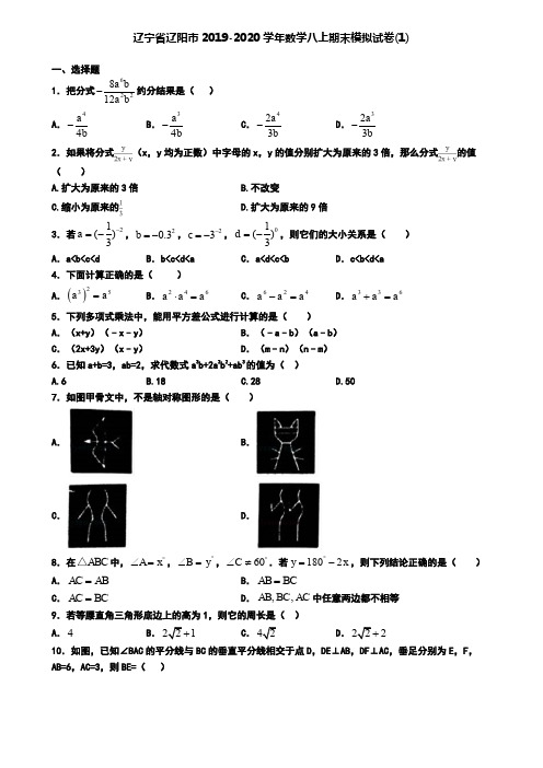 辽宁省辽阳市2019-2020学年数学八上期末模拟试卷(1)