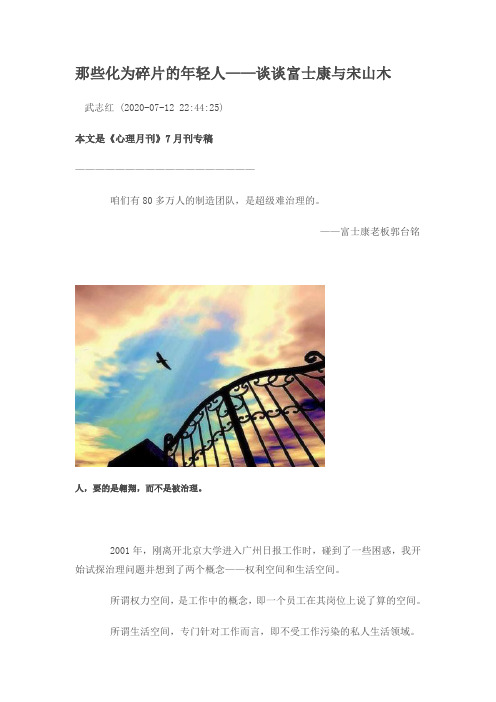 那些化为碎片的年轻人——谈谈富士康与宋山木