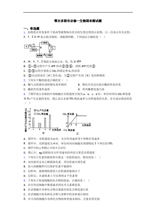 鄂尔多斯市必修一生物期末测试题