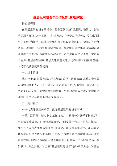 基层组织建设年工作报告(多篇)