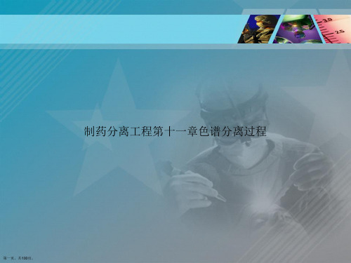 制药分离工程第十一章色谱分离过程讲课文档