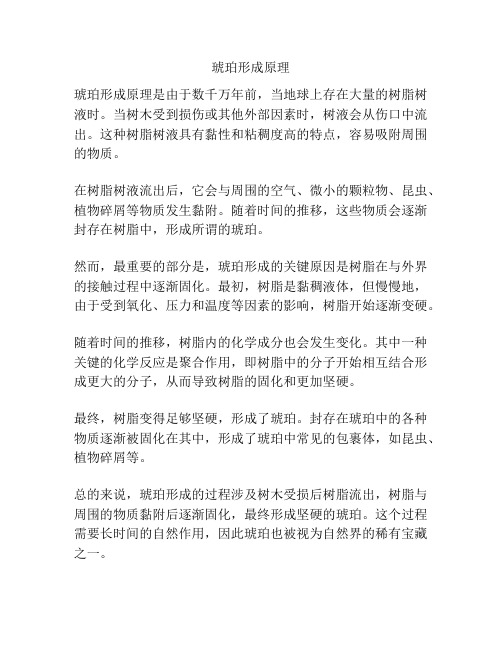 琥珀形成原理