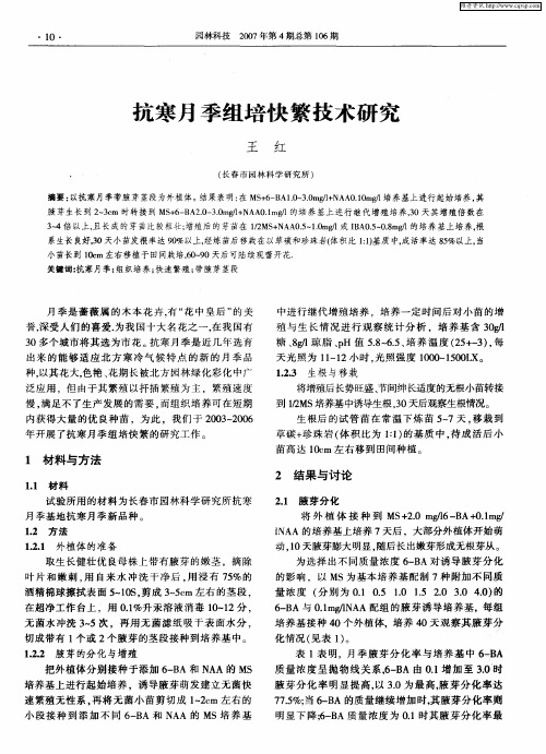 抗寒月季组培快繁技术研究