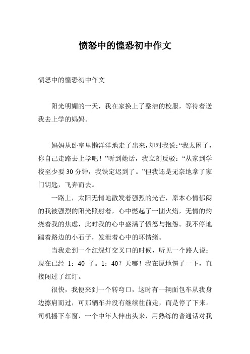 愤怒中的惶恐初中作文