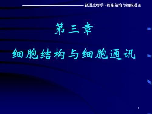 细胞结构与细胞通讯