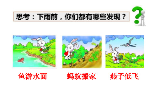 (完整)三级上册语文课件我的发现  语文S版精品PPT资料精品PPT资料