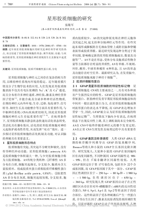 星形胶质细胞的研究_张敬军