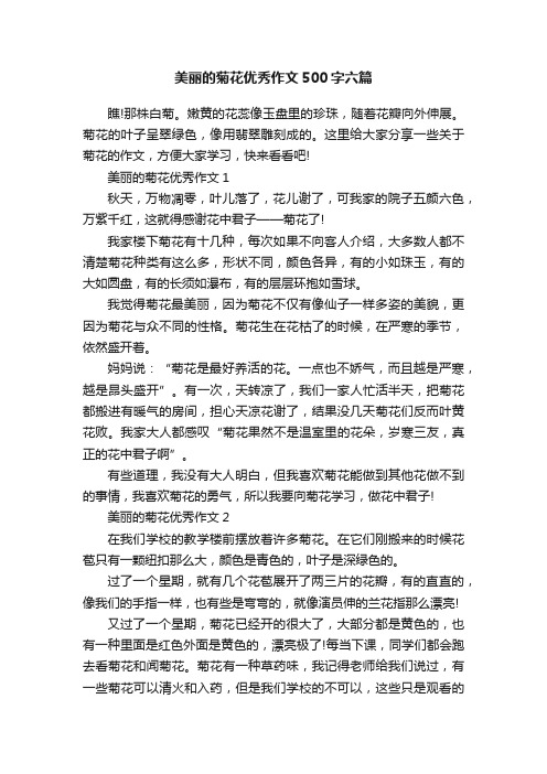 美丽的菊花优秀作文500字六篇