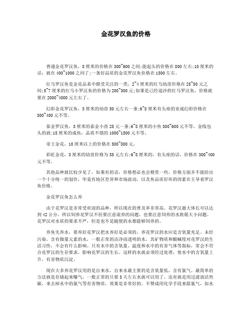 金花罗汉鱼的价格
