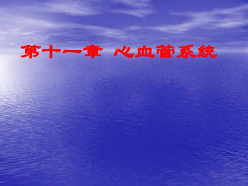 《人体解剖学》课件——心血管系统(人卫版)