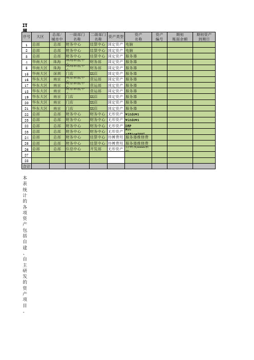 14、IT统筹固定资产、无形资产、摊销、其他费用预算 - 模板(信息中心统筹填写)