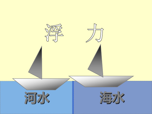北师大版八年级全一册物理《六、浮力》(3)