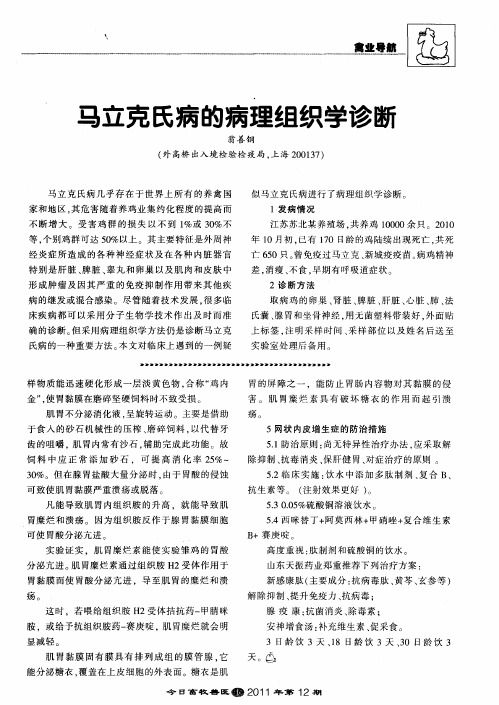 马立克氏病的病理组织学诊断