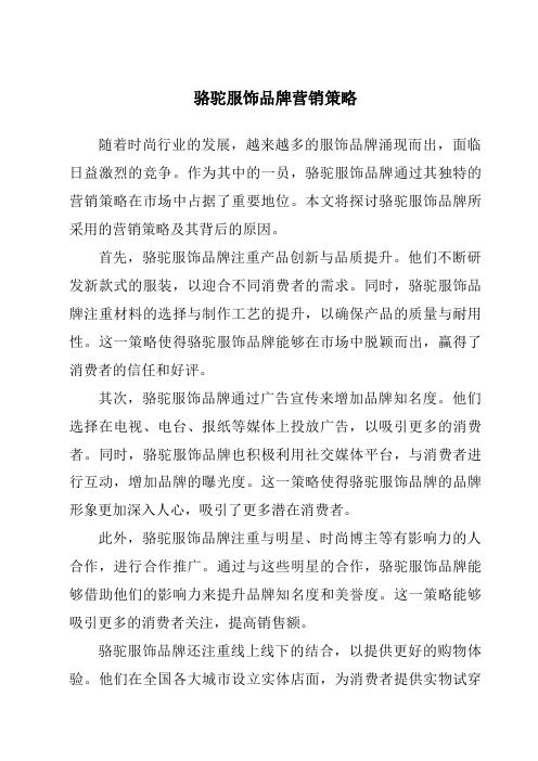 骆驼服饰品牌营销策略