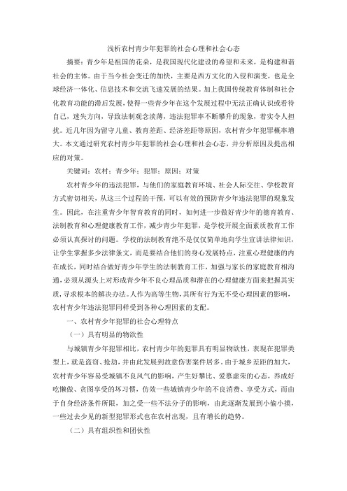浅析农村青少年犯罪的社会心理和社会心态