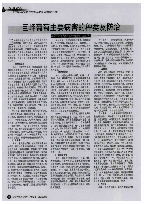 巨峰葡萄主要病害的种类及防治