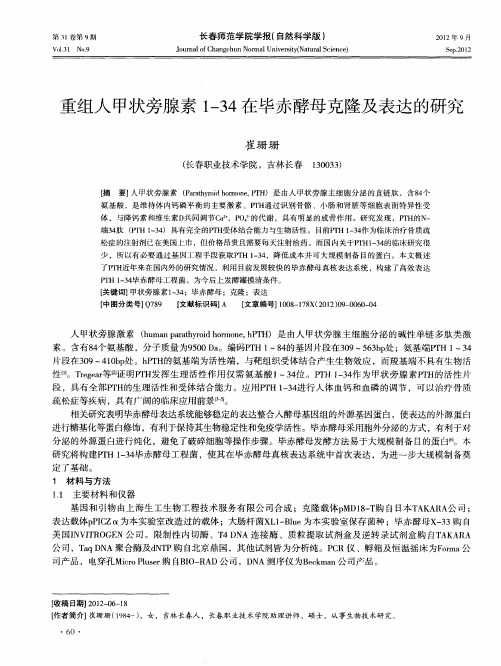 重组人甲状旁腺素1-34在毕赤酵母克隆及表达的研究