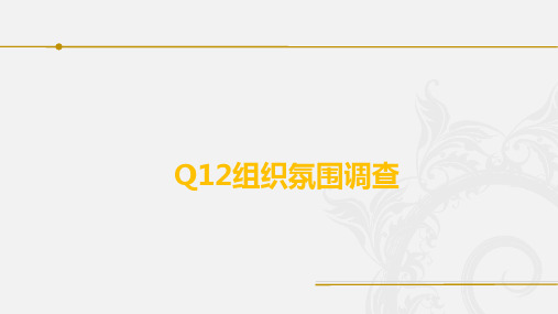 Q12组织氛围调查