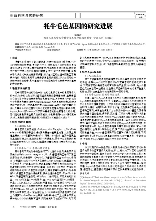 牦牛毛色基因的研究进展