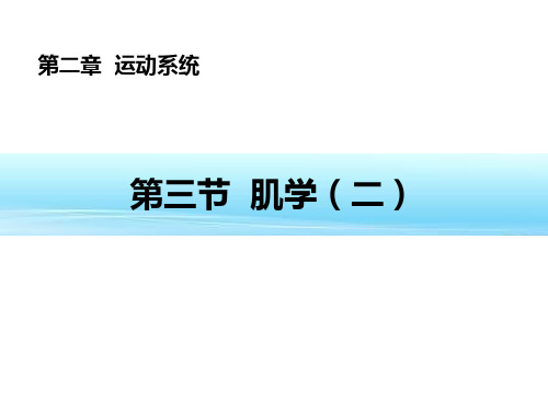 解剖学课件-肌学二四肢肌