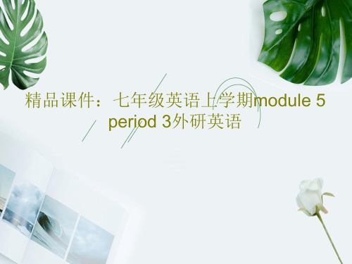 精品课件：七年级英语上学期module 5 period 3外研英语共28页文档