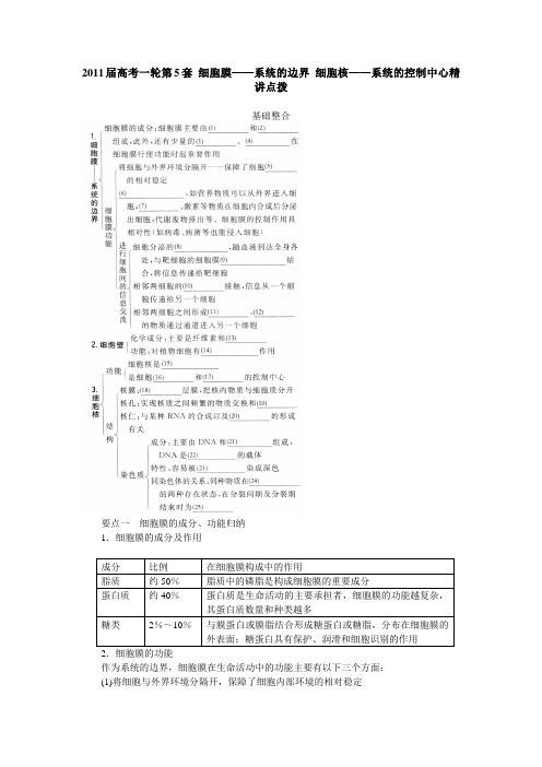 2011届高考一轮第5套_细胞膜——系统的边界_细胞核——系统的控制中心精讲点拨