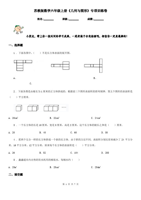 苏教版-数学六年级上册《几何与图形》专项训练卷