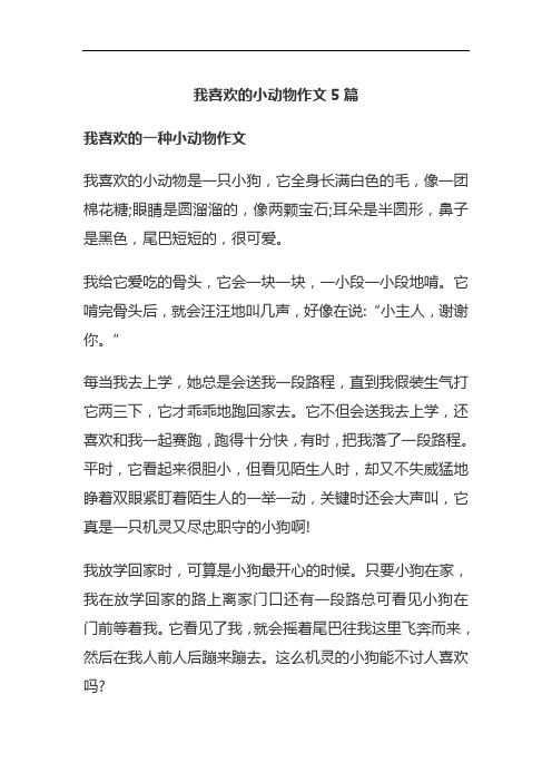 我喜欢的小动物作文5篇