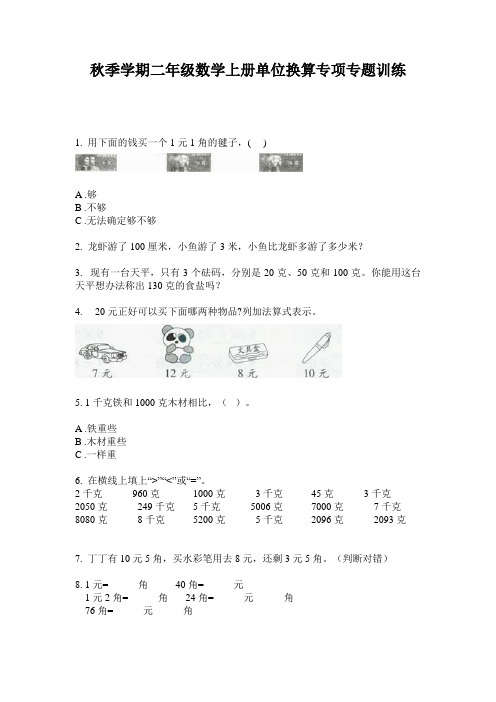 秋季学期二年级数学上册单位换算专项专题训练
