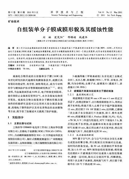自组装单分子膜成膜形貌及其缓蚀性能