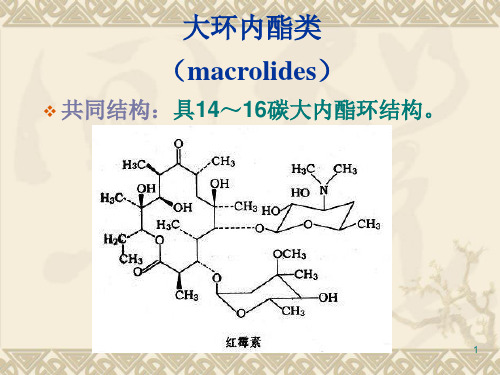大环内酯类&四环素&抗结核药