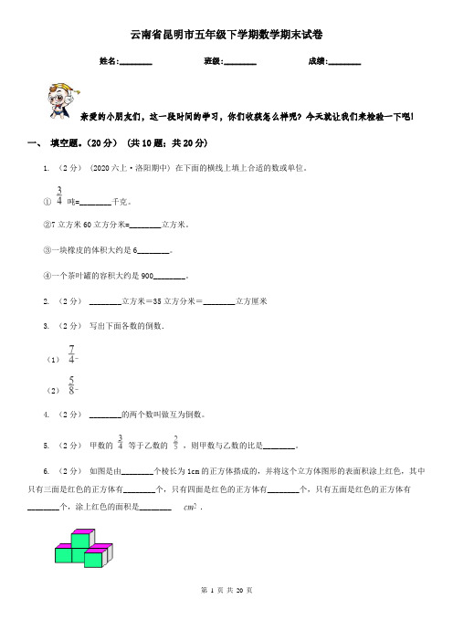 云南省昆明市五年级 下学期数学期末试卷
