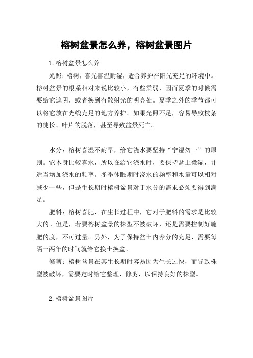 榕树盆景怎么养,榕树盆景图片