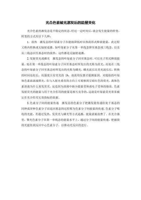 光合色素被光激发后的能量变化