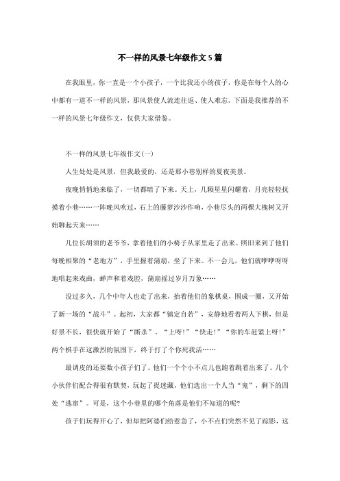 不一样的风景七年级作文5篇