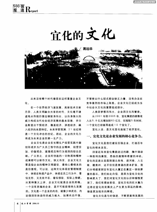 宜化的文化