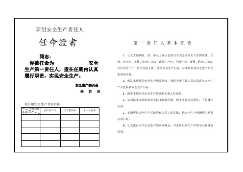 安全生产责任人任命书
