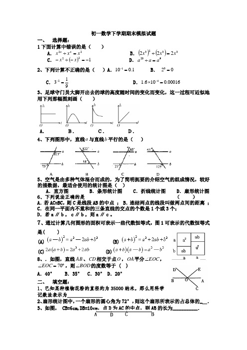 初一数学下学期期末模拟试题(C)