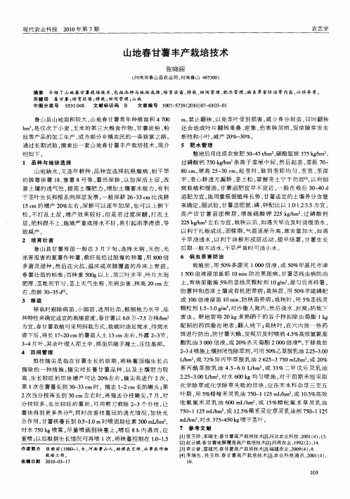 山地春甘薯丰产栽培技术