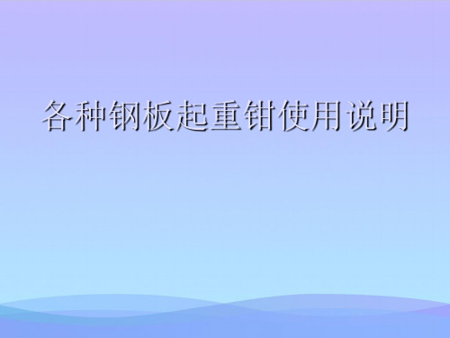 【精品】各种钢板起重钳使用说明-精品资料PPTPPT资料