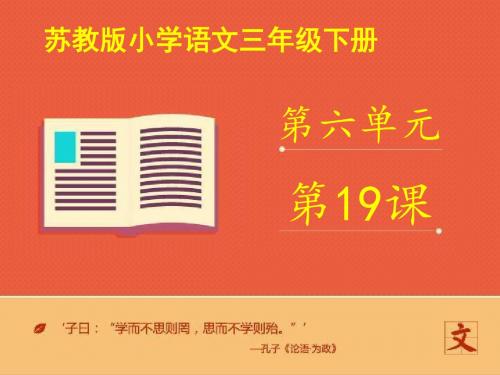 最新苏教版小学语文三年级下册《放飞蜻蜓》第一课时优质课课件(精品)