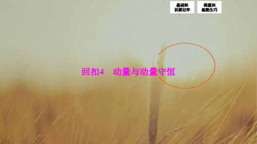 2018届高三物理高考二轮复习 第二部分 专题二 重点知识精彩回扣 回扣4 动量与动量守恒